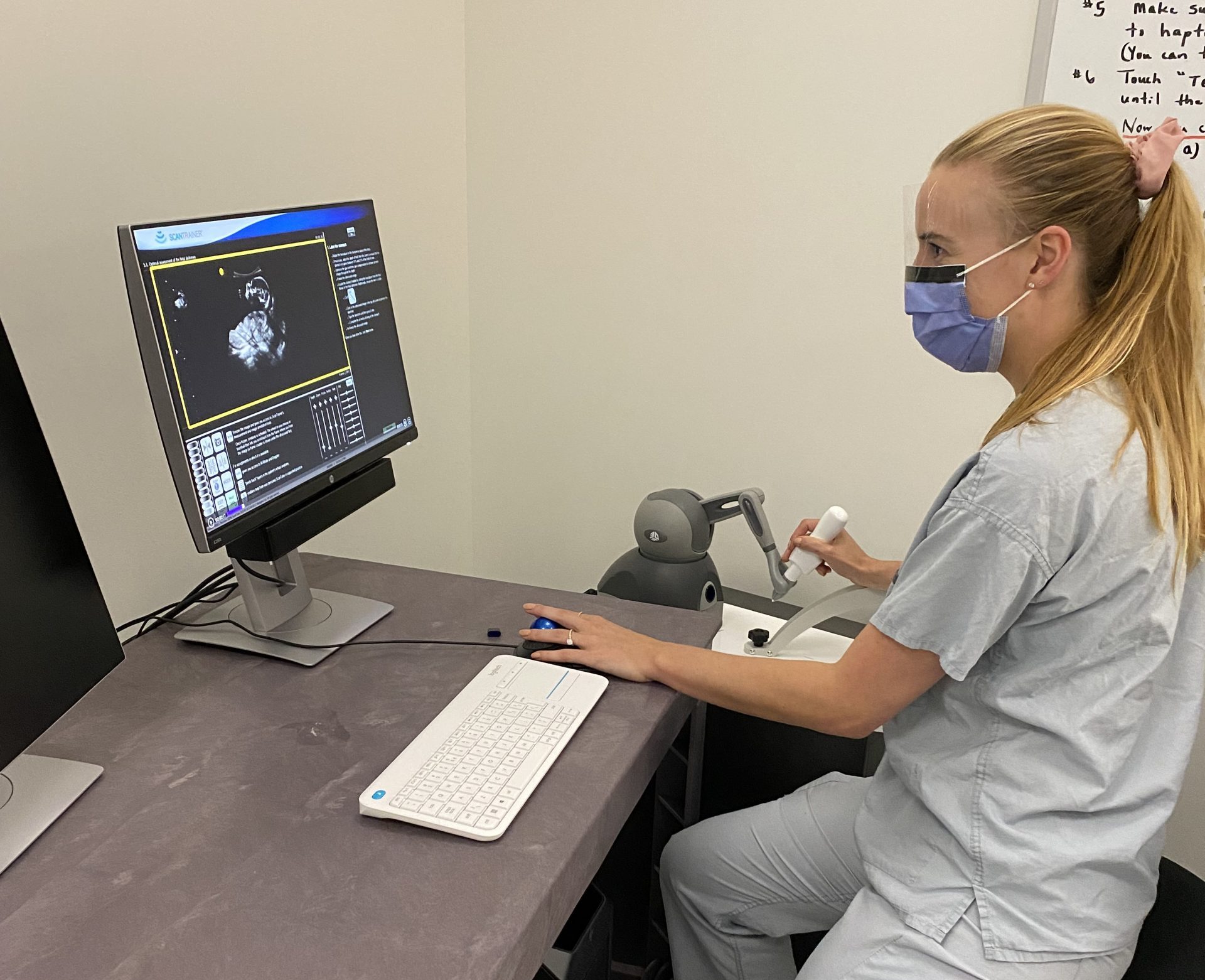 sonographer using an ultrasound simulator